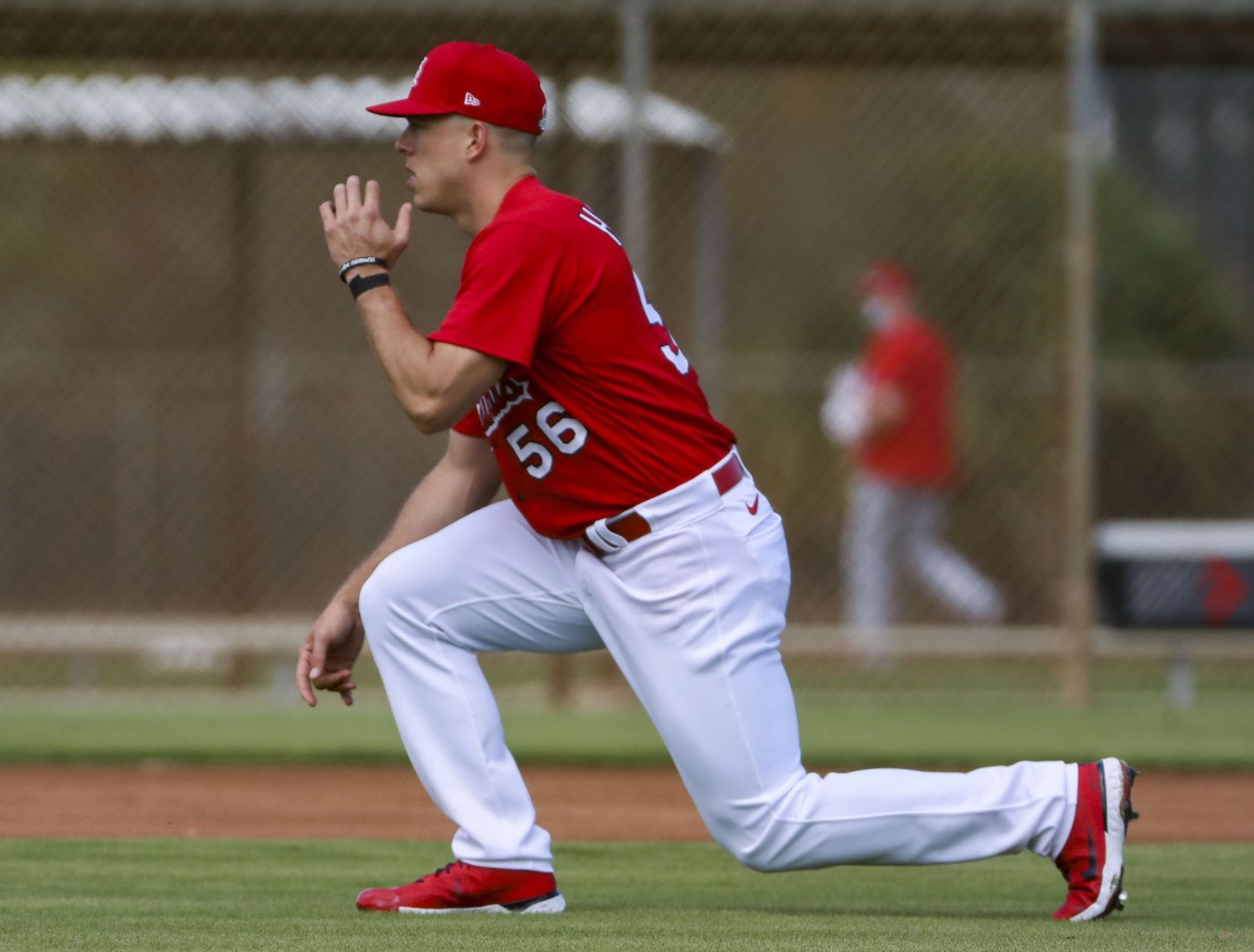 Second day of Cardinals full squad workouts
